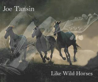 Like Wild Horses art by Joe Tansin
