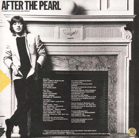 After The Pearl (LP), back cover
